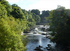 Aysgarth Upper Force from the Bridge