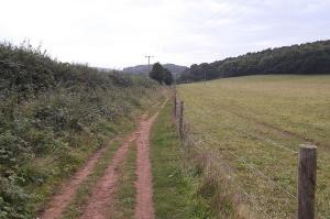 Open fields around Clent