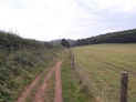 Open fields around Clent