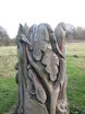 Carved Tree Trunk in Millenium Green by start of walk