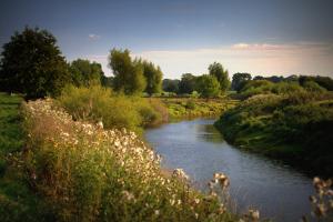 The River Vrynwy near Melverley