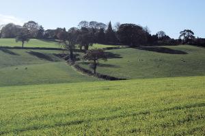 First view of Brampton Church if starting from Linacre