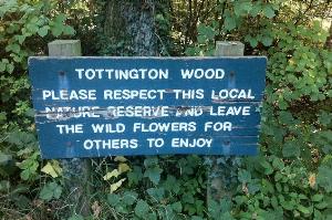 Tottington Woods on return from Small Dole