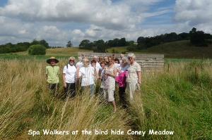 Coney Meadow Reed Beds