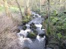 Burbage Brook from the bridge in Padley Gorge near Grindleford Station. The path runs up through the trees to the right.
