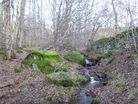 On the path through Rough Wood with Millstone Edge in the distance.