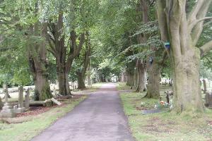 Colourful nesting boxes on tree lined drive