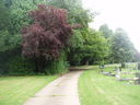 Tree lined path in Gilroes Cemetery