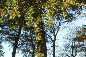 Spinney Park childrens playground