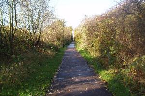 View along disused railway line in Stokeswood Park