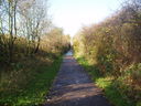 View along disused railway line in Stokeswood Park