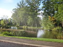 The pond by the village green and pub at Hanley Swan