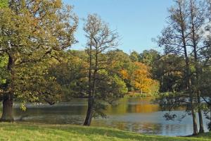 Lower Pool at Compton Verney