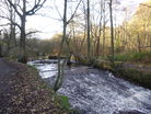 Weir in Rivelin Glen.