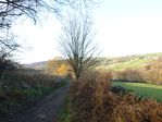 Looking up the Rivelin Valley from Coppice Road