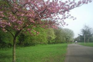 In Forster Memorial Park