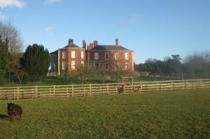 Stanford Court near the end of walk
