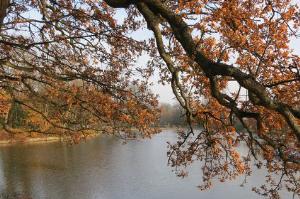Crystal Palace Park in autumn