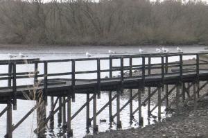 Worsbrough Reservoir - built in 1804.