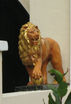 Lion in the Lawns