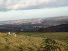 The climb back up to Totley Moor looking over Blacka Moor Nature Reserve towards the southern outskirts of Sheffield. Wimble Holme Hill is to the right.