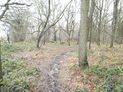 Bannam Wood