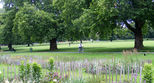 Kennington Park