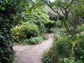 Harleyford Road Garden