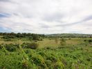 A view from the alternative path, looking over the quarry towards Dundry.