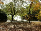 Moseley New Pool in Swanshurst Park