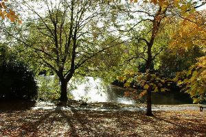 Moseley New Pool in Swanshurst Park