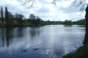 Brookvale Boating Lake / Pool
