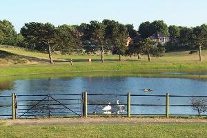 Witton Lakes