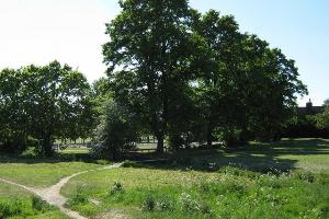 Recreation area, Short Heath Road